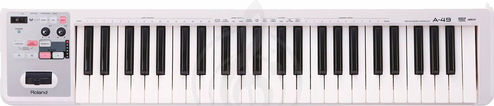 MIDI-клавиатура Миди-клавиатуры Roland Roland A-49-WH - Миди-клавиатура A-49-WH - фото 1