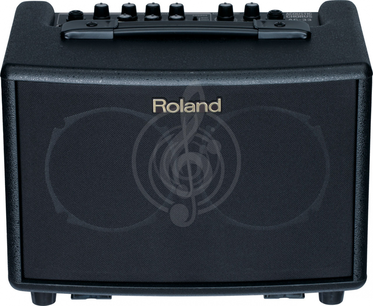 изображение Roland AC-33(M) - 1