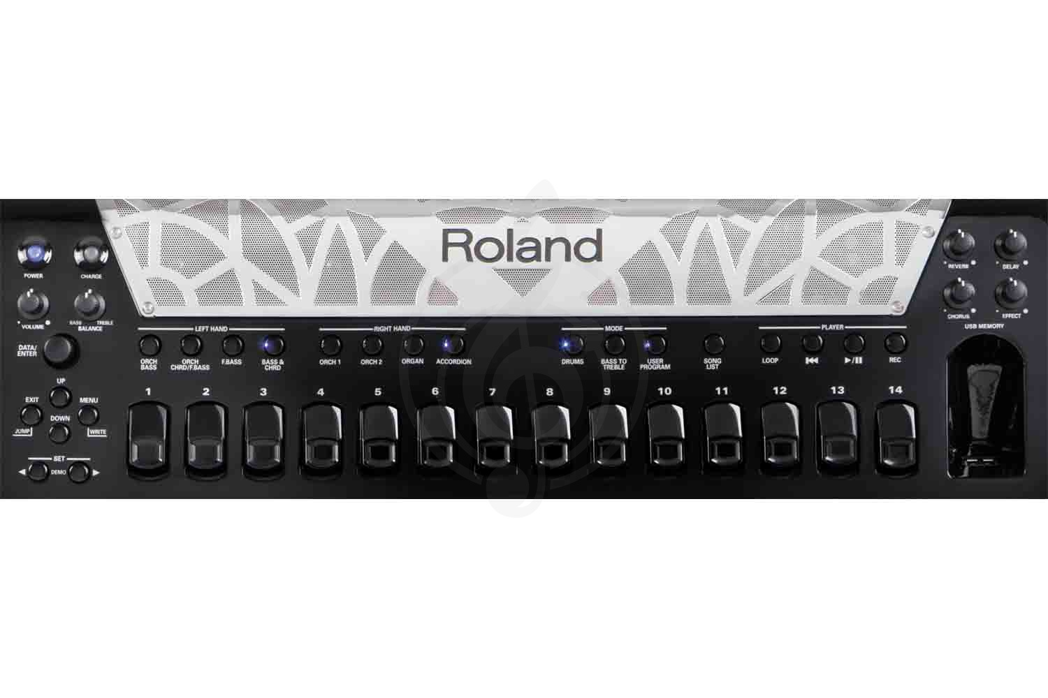 Аккордеон 4/4 Аккордеоны Roland Roland - FR-8x (черный) - цифровой аккордеон - фото 3