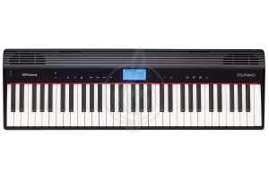 Изображение Roland GO-61P