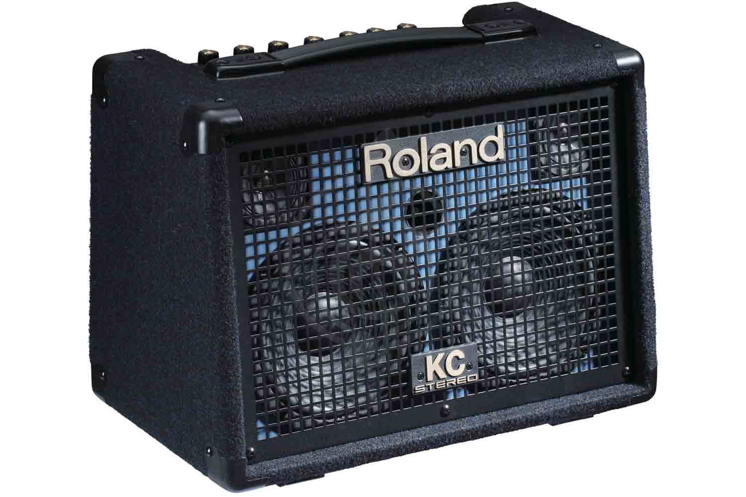 изображение Roland KC-110 - 1