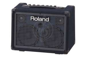 Изображение Комбо для клавишных Roland KC-220