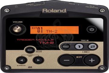 Электронная ударная установка Электронные ударные установки Roland Roland TM-2 триггер-модуль TM-2 - фото 2