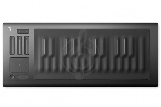 Изображение ROLI RISE 25 - USB MIDI клавиатура