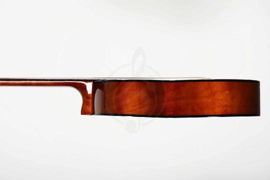 Классическая гитара 4/4 Root Note RNC100-NAT - Классическая гитара, Root Note RNC100-NAT в магазине Доминанта мьюзик - фото 5