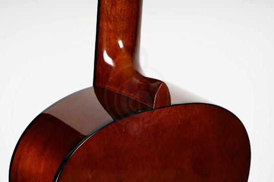 Классическая гитара 4/4 Root Note RNC100-NAT - Классическая гитара, Root Note RNC100-NAT в магазине Доминанта мьюзик - фото 6