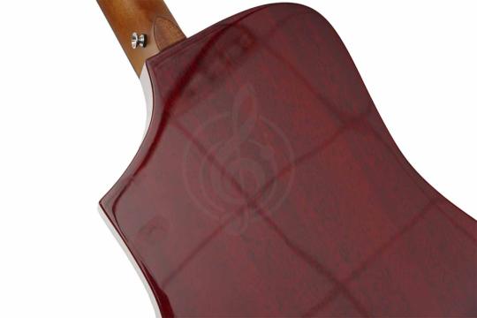 Трансакустическая гитара Root Note TA220-IV - Гитара трансакустическая, Root Note TA220-IV в магазине Доминанта мьюзик - фото 14