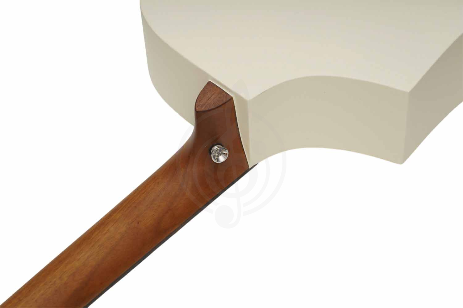 Трансакустическая гитара Root Note TA220-IV - Гитара трансакустическая, Root Note TA220-IV в магазине Доминанта мьюзик - фото 11