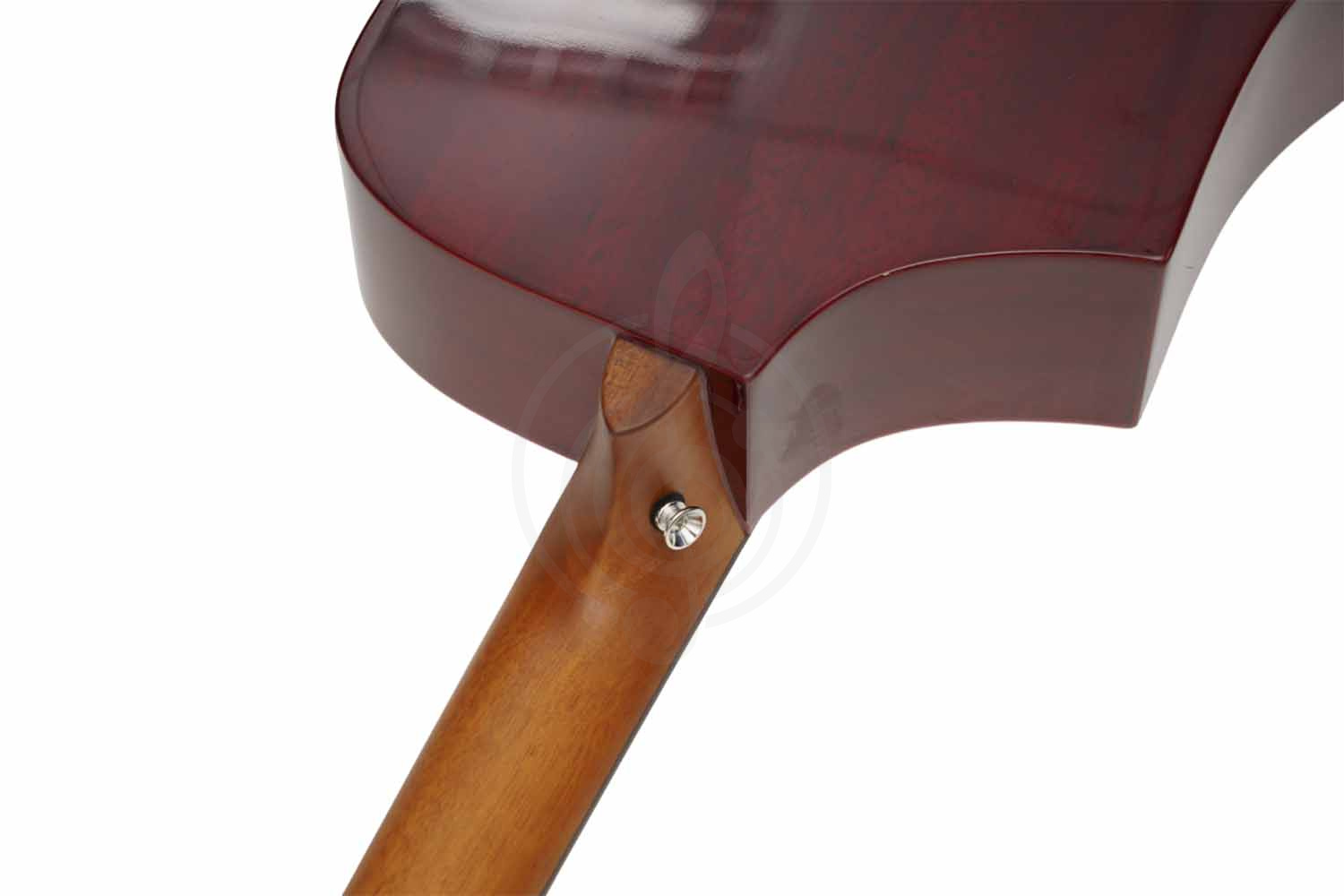 Трансакустическая гитара Root Note TA220-IV - Гитара трансакустическая, Root Note TA220-IV в магазине Доминанта мьюзик - фото 13