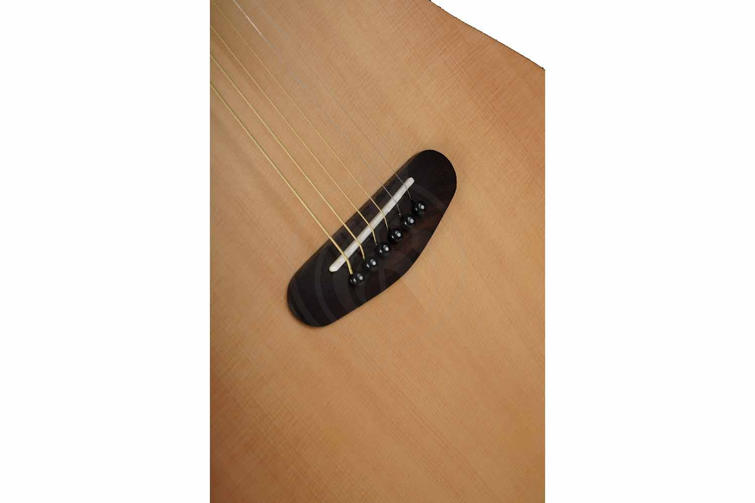 Трансакустическая гитара Root Note TA220-NA - Гитара трансакустическая, Root Note TA220-NA в магазине Доминанта мьюзик - фото 2