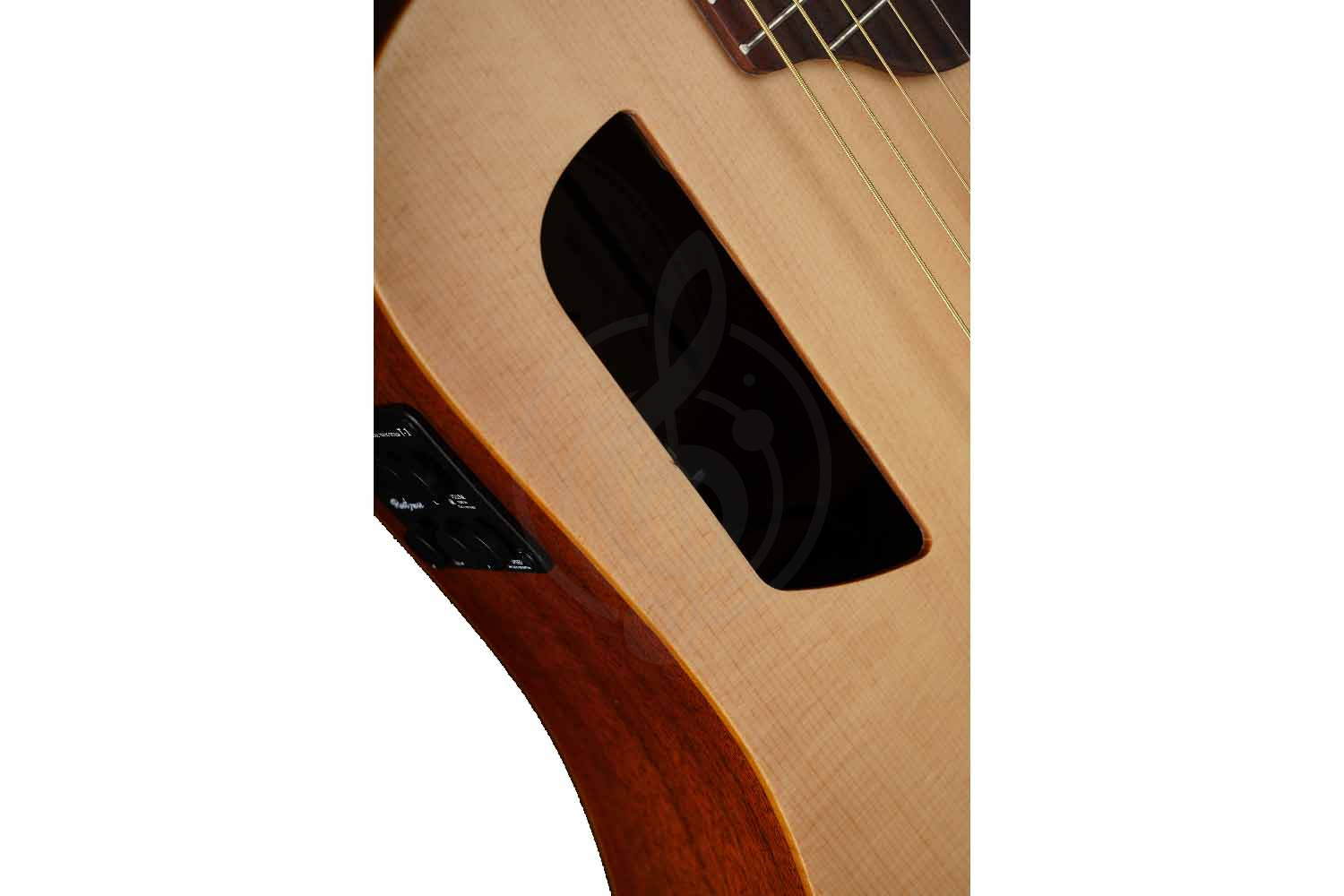 Трансакустическая гитара Root Note TA220-NA - Гитара трансакустическая, Root Note TA220-NA в магазине Доминанта мьюзик - фото 3