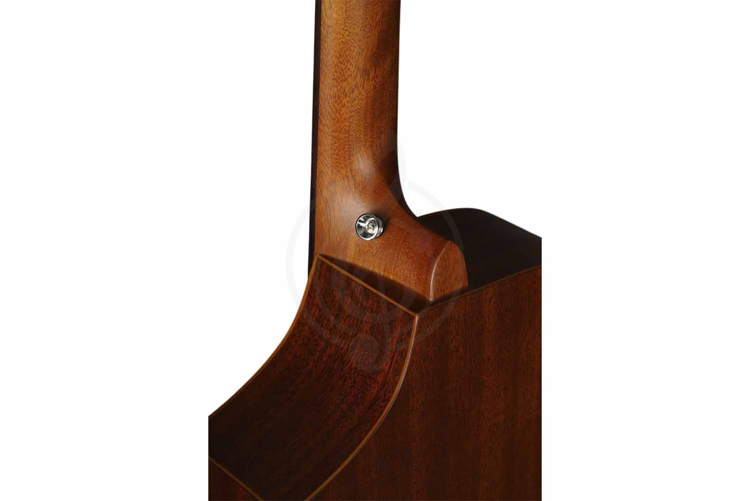 Трансакустическая гитара Root Note TA220-NA - Гитара трансакустическая, Root Note TA220-NA в магазине Доминанта мьюзик - фото 4