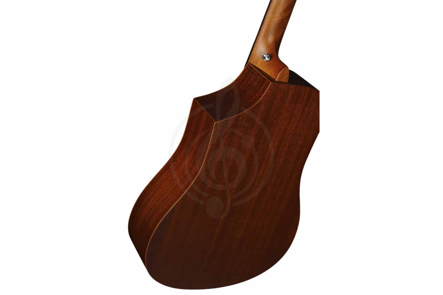 Трансакустическая гитара Root Note TA220-NA - Гитара трансакустическая, Root Note TA220-NA в магазине Доминанта мьюзик - фото 7