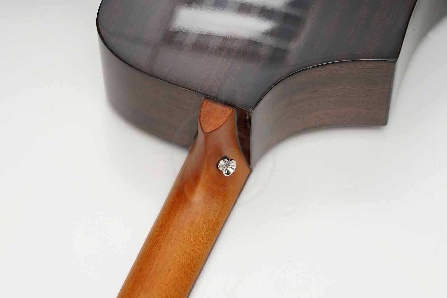 Трансакустическая гитара Root Note TA220-TB - Гитара трансакустическая, Root Note TA220-TB в магазине Доминанта мьюзик - фото 6