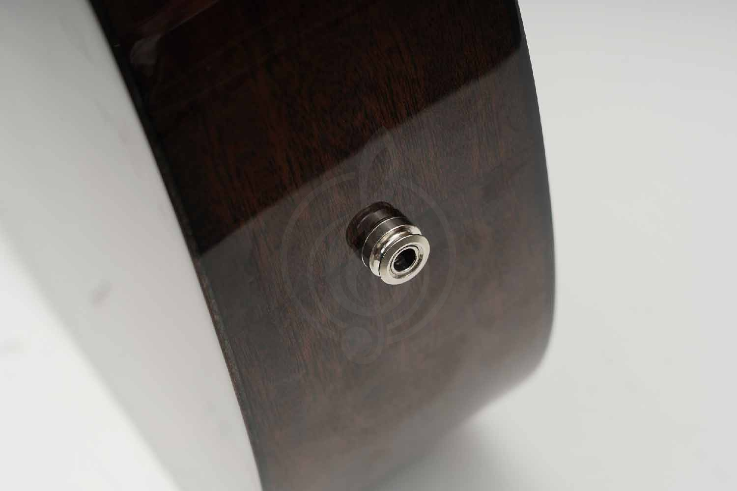 Трансакустическая гитара Root Note TA220-TB - Гитара трансакустическая, Root Note TA220-TB в магазине Доминанта мьюзик - фото 8