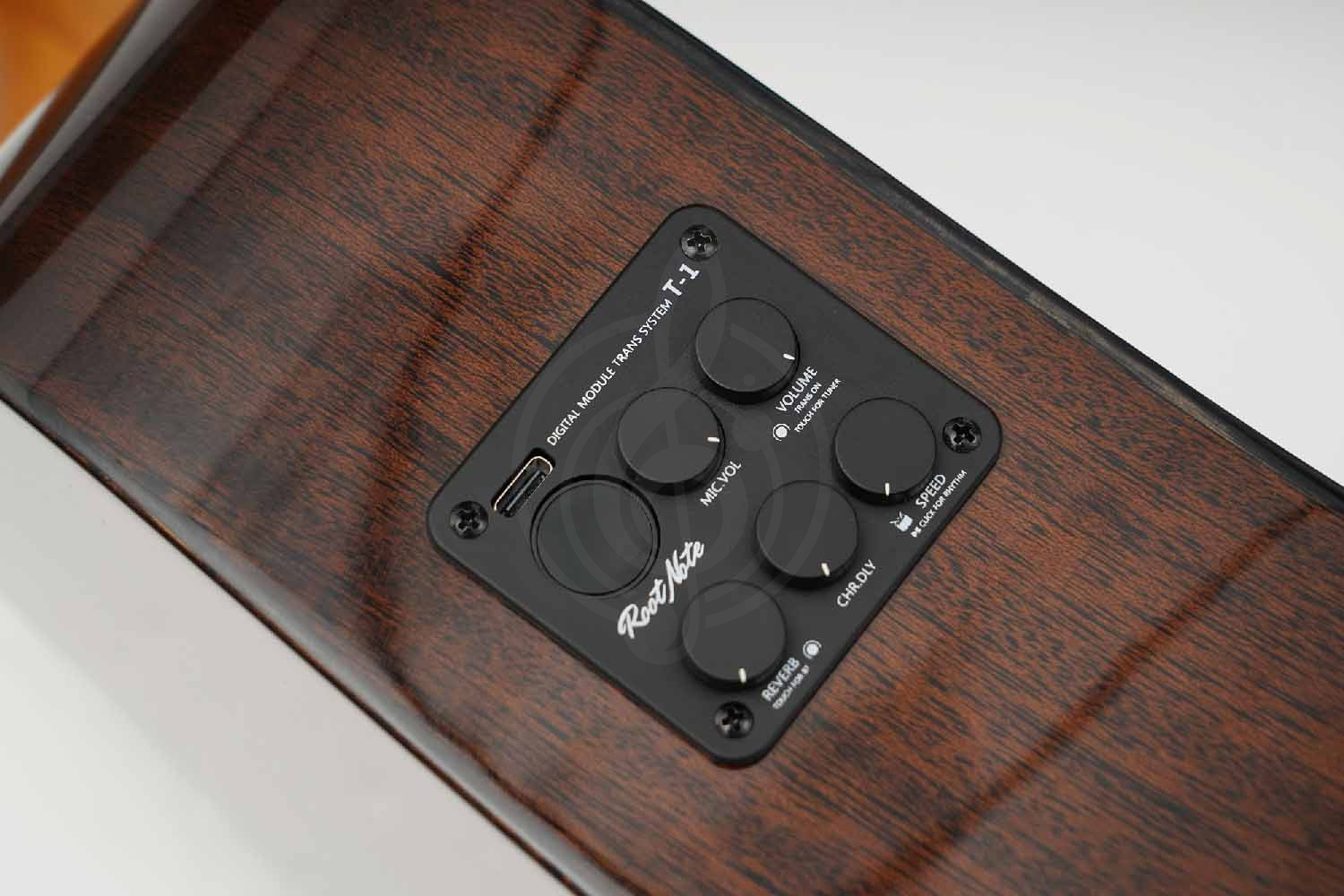 Трансакустическая гитара Root Note TA220-TB - Гитара трансакустическая, Root Note TA220-TB в магазине Доминанта мьюзик - фото 9