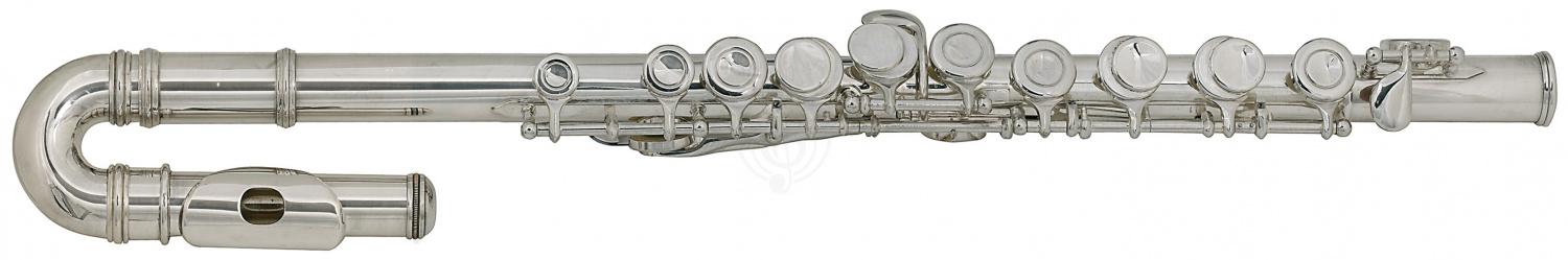 Флейта сопрано Флейты сопрано Roy Benson ROY BENSON FL-102 флейта (Детская. Упрощ механика) FL-102 - фото 2