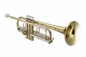 Труба Трубы Roy Benson ROY BENSON TR-101 Bb труба (цвет золото) TR-101 - фото 3