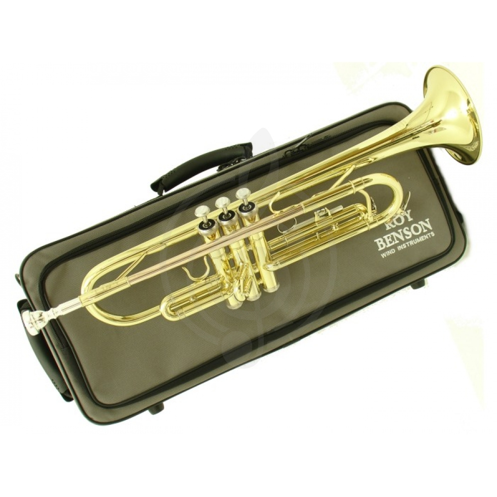 Труба Трубы Roy Benson ROY BENSON TR-101 Bb труба (цвет золото) TR-101 - фото 1