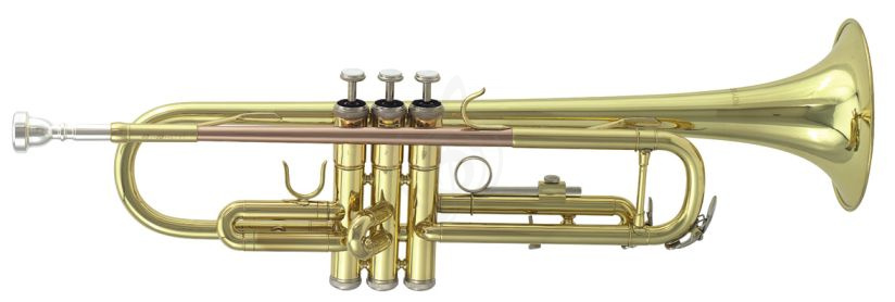 Труба Трубы Roy Benson ROY BENSON TR-101 Bb труба (цвет золото) TR-101 - фото 2