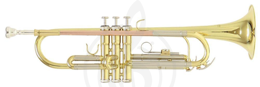 Труба Трубы Roy Benson ROY BENSON TR-202 Bb труба (цвет золото) TR-202 - фото 1