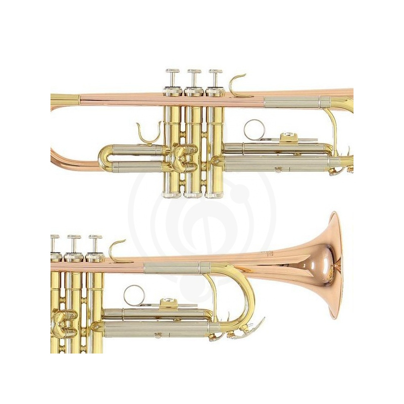 Труба Трубы Roy Benson ROY BENSON TR-202 Bb труба (цвет золото) TR-202 - фото 2