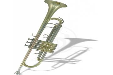Труба Трубы Roy Benson ROY BENSON TR-402 Bb труба (цвет золото) TR-402 - фото 2