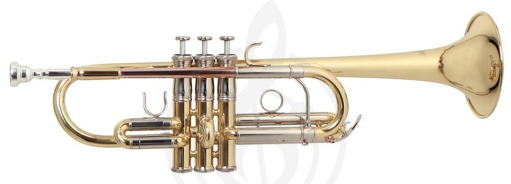 Труба Трубы Roy Benson ROY BENSON TR-402 Bb труба (цвет золото) TR-402 - фото 1