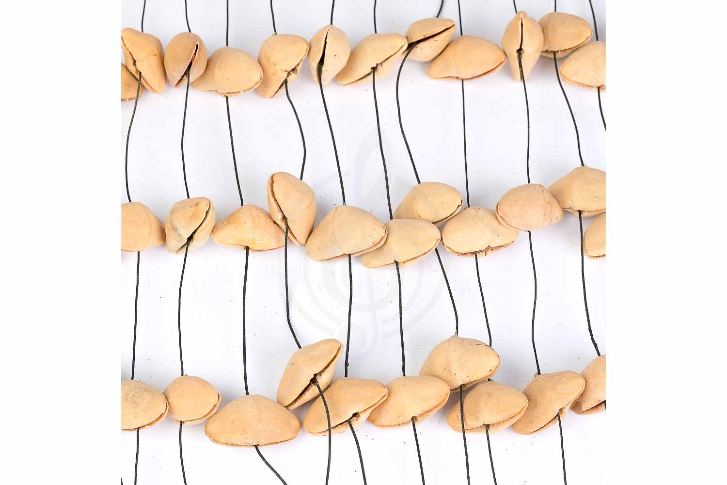 Шейкер Sela SESDC1 Seed Chime Kenari - Шейкер, Sela SESDC1 Seed Chime Kenari в магазине Доминанта мьюзик - фото 4