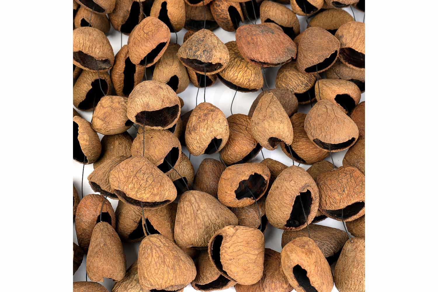 Шейкер Sela SESDC3 Seed Chime Pangi - Шейкер, Sela SESDC3 Seed Chime Pangi в магазине Доминанта мьюзик - фото 4