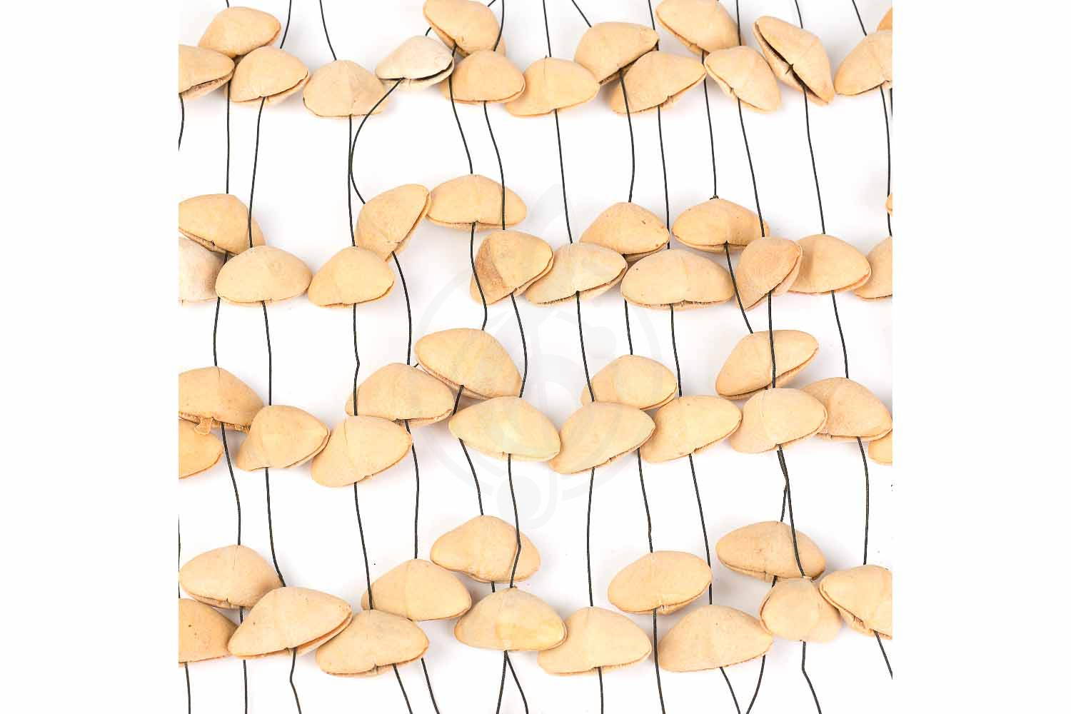 Шейкер Sela SESDC5 Seed Chime Kenari XL - Шейкер, Sela SESDC5 Seed Chime Kenari XL в магазине Доминанта мьюзик - фото 4