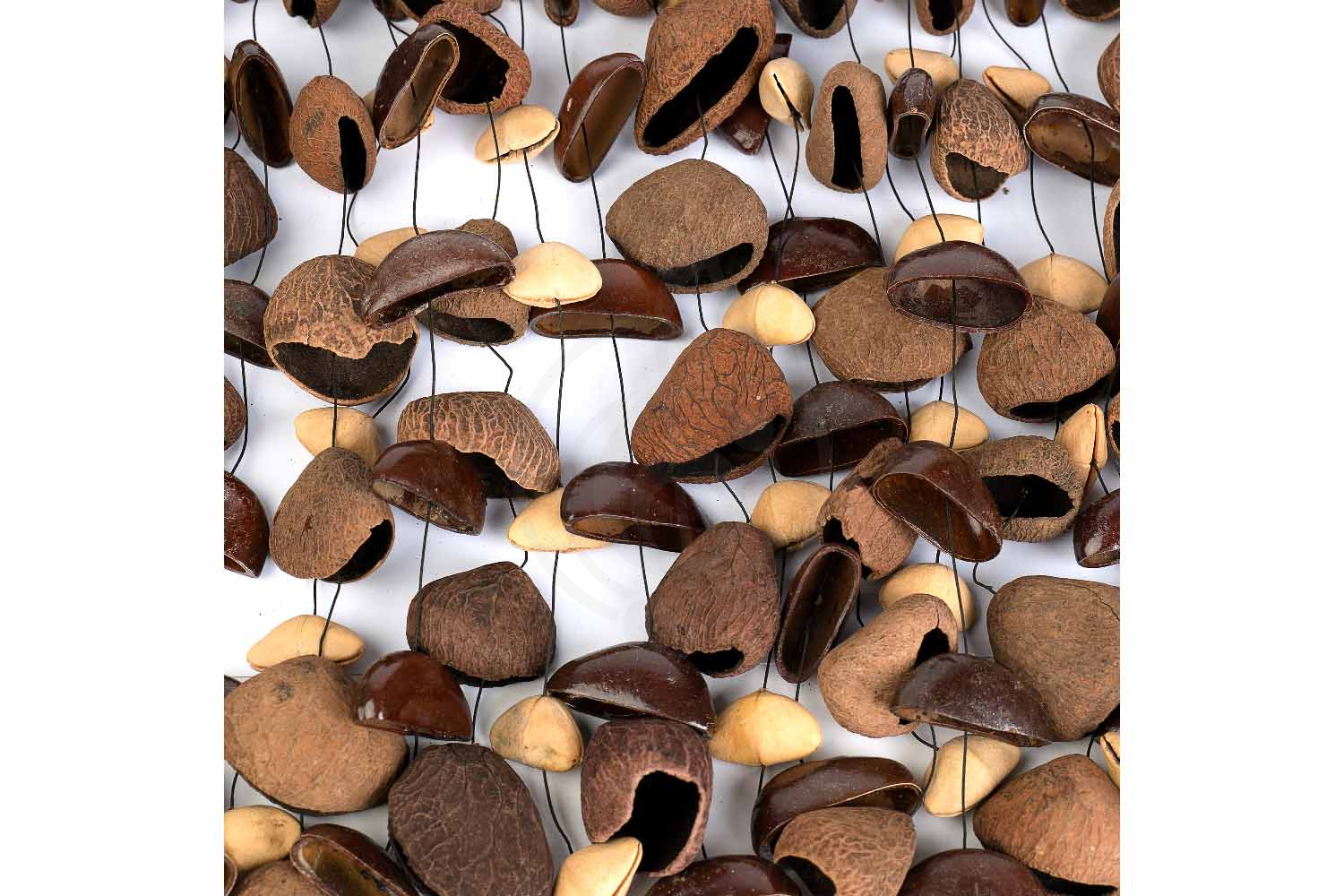 Шейкер Sela SESDC6 Seed Chime Mixed - Шейкер, Sela SESDC6 Seed Chime Mixed в магазине Доминанта мьюзик - фото 4