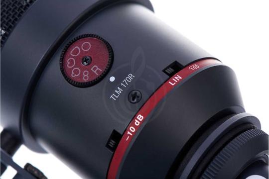 Микрофоны для стрима Sennheiser 008504 Neumann TLM 170 R mt stereo set - Микрофон конденсаторный студийный, стереопара, Sennheiser 008504 Neumann TLM 170 R mt stereo set в магазине DominantaMusic - фото 17