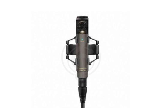 Микрофоны для стрима Sennheiser 502083 MKH 800 TWIN NX - Микрофон конденсаторный, Sennheiser 502083 в магазине Доминанта мьюзик - фото 1