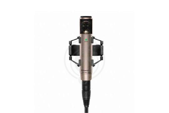 Микрофоны для стрима Sennheiser 502431 MKH 800 TWIN_NI - Микрофон конденсаторный, Sennheiser 502431 в магазине Доминанта мьюзик - фото 1