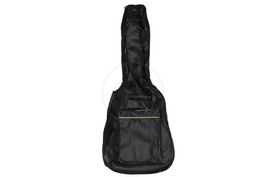 Трансакустическая гитара ShahBoJohn AR-2 - Гитара трансакустическая, ShahBoJohn AR-2 в магазине DominantaMusic - фото 10