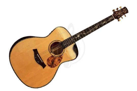 Изображение Трансакустическая гитара ShahBoJohn AR-2