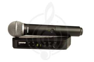 Изображение Shure BLX24E/PG58-M17