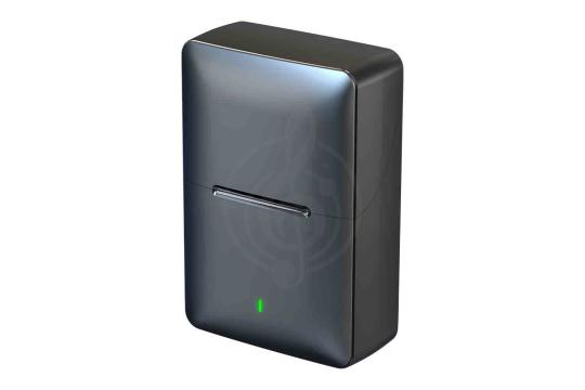 Радиосистема с петличным микрофоном Simple Fly CYA06-A-L - Микрофон беспроводной, Simple Fly CYA06-A-L в магазине Доминанта мьюзик - фото 5