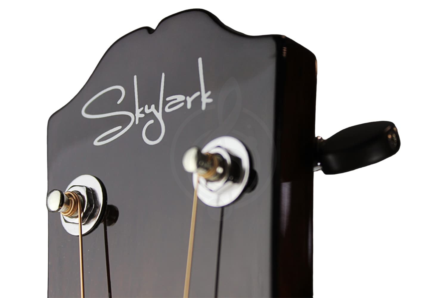 Акустическая гитара Skylark 1961 - Гитара акустическая, Skylark 1961 в магазине DominantaMusic - фото 2