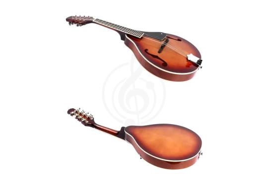 Мандолина Smiger BJM-04 WA - Мандолина, Smiger BJM-04 WA в магазине Доминанта мьюзик - фото 2