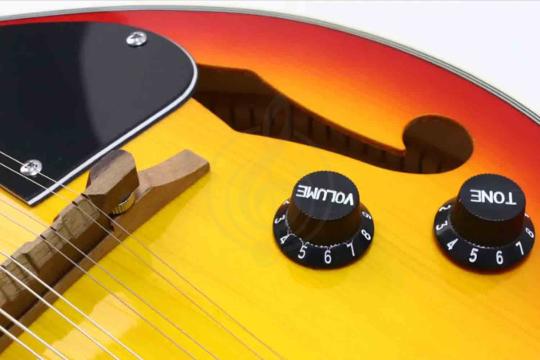 Мандолина Smiger BJM-05 3TS - Мандолина, Smiger BJM-05 3TS в магазине Доминанта мьюзик - фото 11