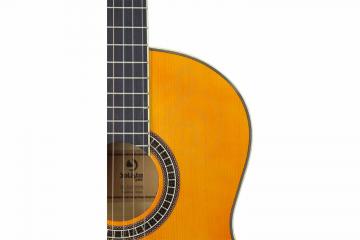 Классическая гитара 4/4 Solista 310-39-YN - Классическая гитара 4/4, Solista 310-39-YN в магазине DominantaMusic - фото 7