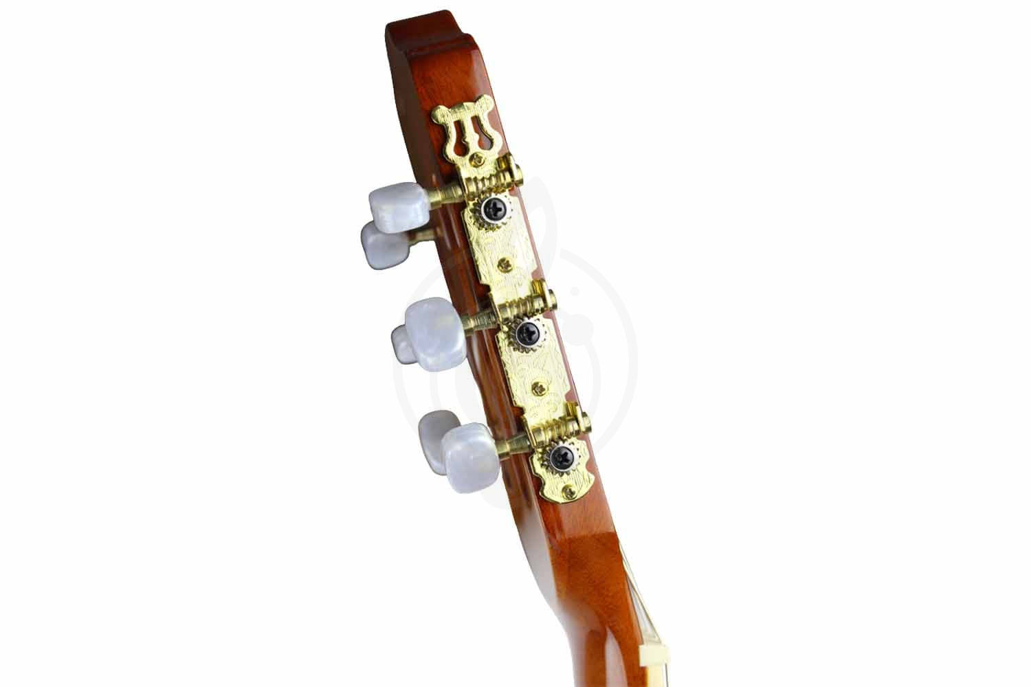 Классическая гитара 4/4 Solista 310-39-YN - Классическая гитара 4/4, Solista 310-39-YN в магазине DominantaMusic - фото 5