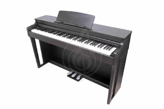 Изображение Цифровое пианино Solista DP-300BK
