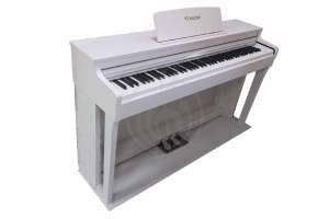 Изображение Solista DP300WH