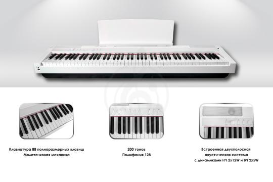Цифровое пианино Solista DP125WH - Цифровое пианино,  DP125WH в магазине DominantaMusic - фото 4