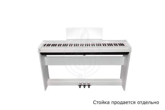 Цифровое пианино Solista DP125WH - Цифровое пианино,  DP125WH в магазине DominantaMusic - фото 8