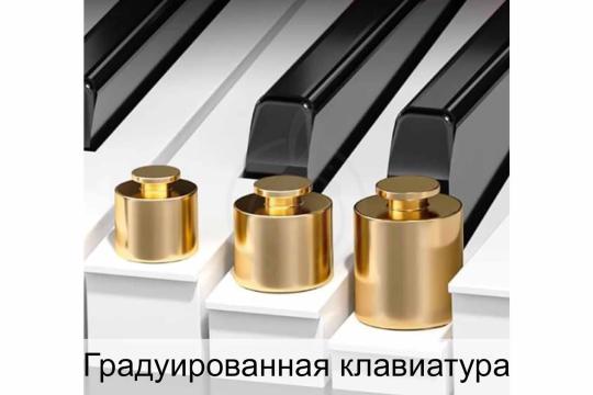 Цифровое пианино Solista DP200BK - Цифровое пианино,  DP200BK в магазине DominantaMusic - фото 9