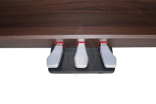 Цифровое пианино Solista DP200BR - Цифровое пианино, Solista DP200BR в магазине DominantaMusic - фото 5